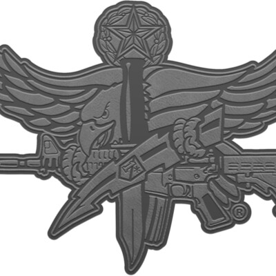 LOGO SWAT Master PATCH GRY Thumbnail