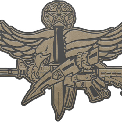 LOGO SWAT Master PATCH TAN Thumbnail