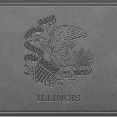 FLAG IL PATCH GRY Thumbnail