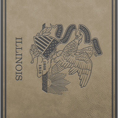 FLAG IL Vertical PATCH TAN Thumbnail