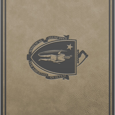 FLAG MA Vertical PATCH TAN Thumbnail