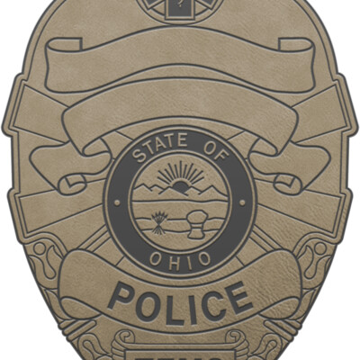 BADGE TEMS TAN Thumbnail